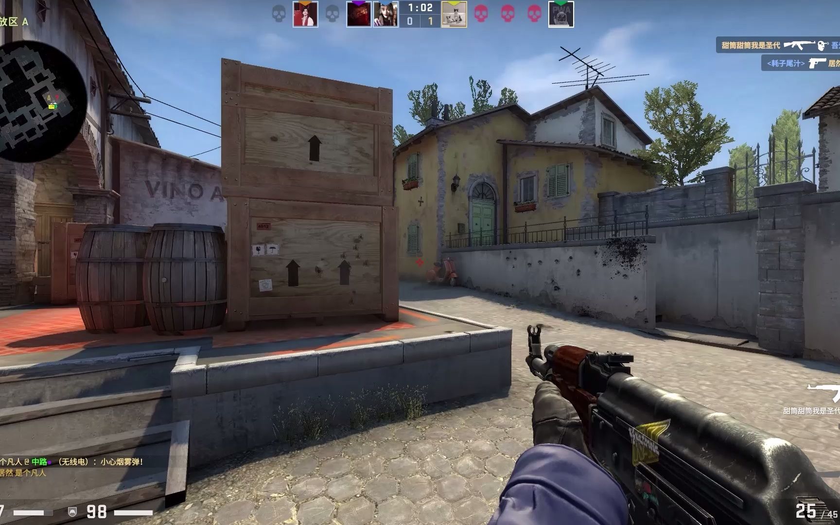 系内替代 系内替代